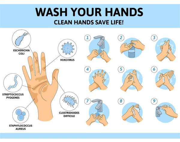 Washing Hands Viruses Infographics — Stock Vector
