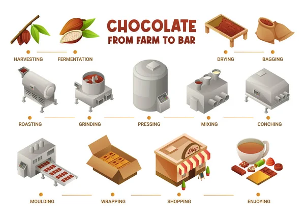 Czekolada Produkcja Isometryczna Infografika — Wektor stockowy