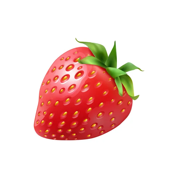 Ilustración realista de fresas — Vector de stock