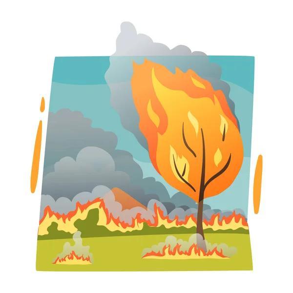 Composición de incendios forestales — Archivo Imágenes Vectoriales