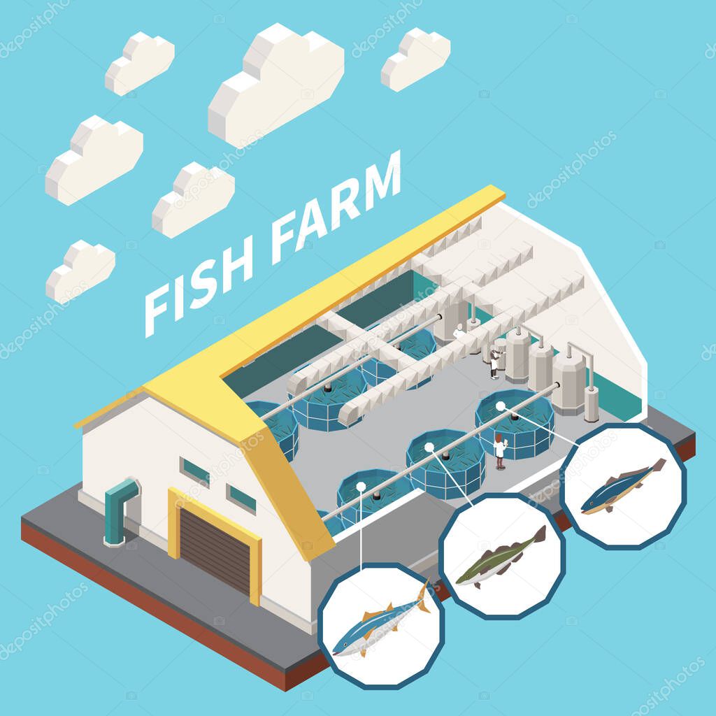Industrial Fish Production Isometric
