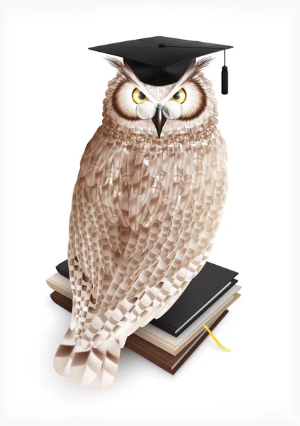 Realistická skladba Academic Owl — Stockový vektor