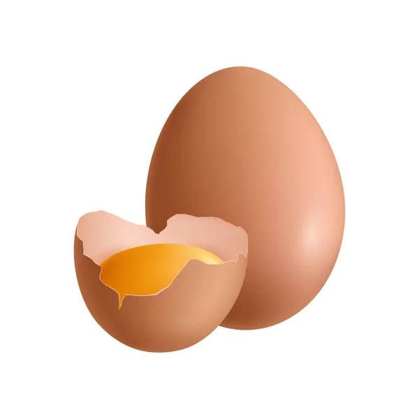 Illustrazione realistica dell'uovo — Vettoriale Stock