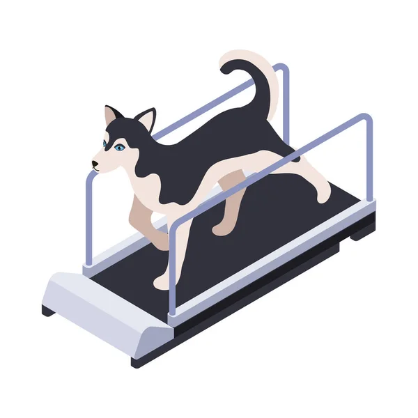 Dog On Treadmill — Stock Vector