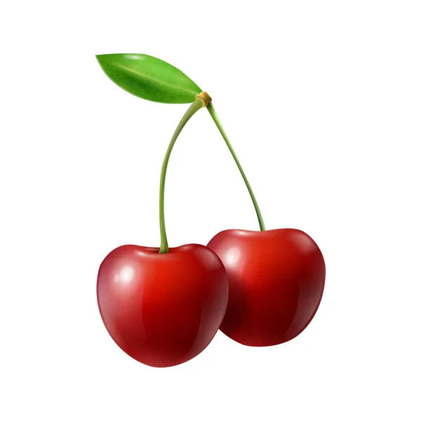 Realistic Cherries Illustration — Stock Vector