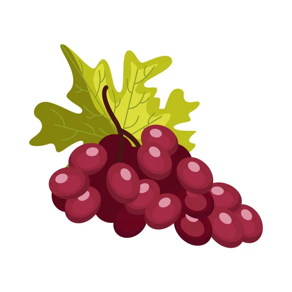 Ізометрична ілюстрація винограду — стоковий вектор