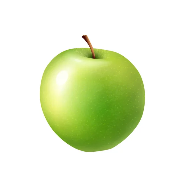 Apple realistyczna ilustracja — Wektor stockowy
