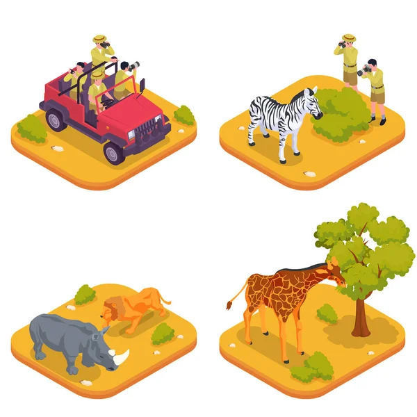Set di icone isometriche colorate Safari — Vettoriale Stock