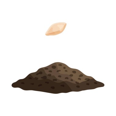 Salatalık Birinci Aşama Kompozisyonu