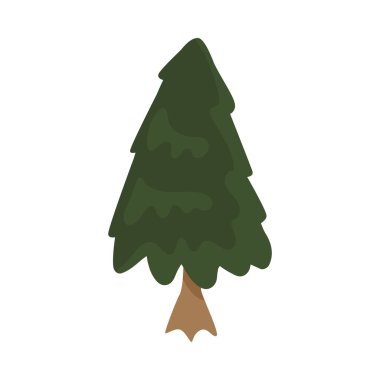 Kamp İğnesi Ağacı Kompozisyonu