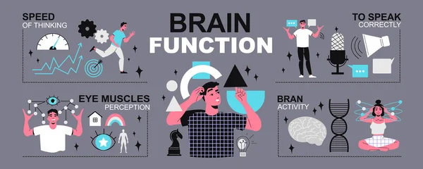 How Brain Functions Infographics — Stock Vector