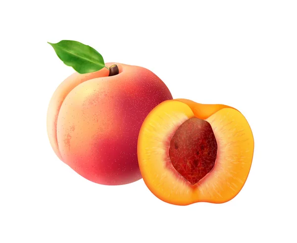 Realistische Zusammensetzung der Pfirsichfrucht — Stockvektor