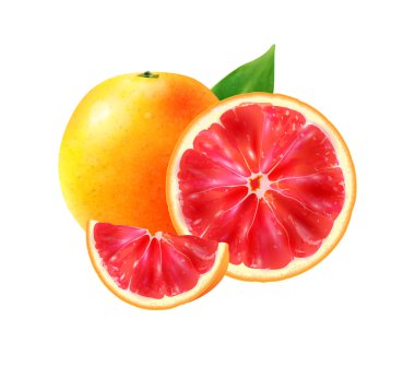 Realistic Grapefruit Fruit Composition vector