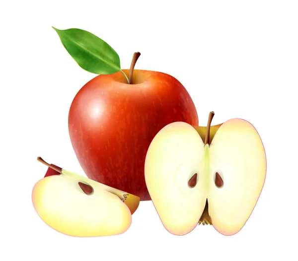 องค์ประกอบแอปเปิ้ลสีแดงที่สมจริง — ภาพเวกเตอร์สต็อก
