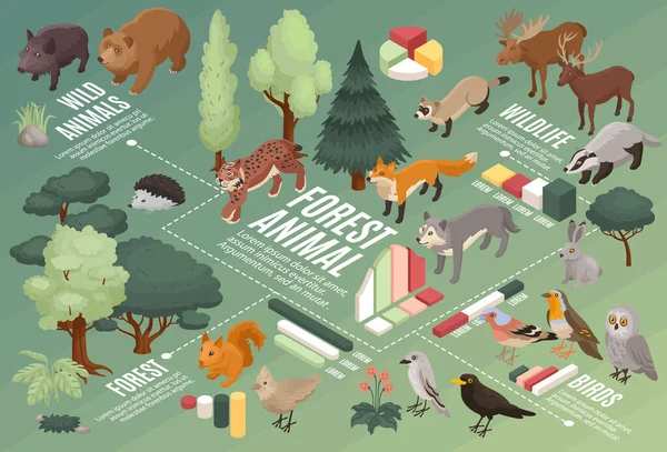 森林动物资讯图成分 — 图库矢量图片