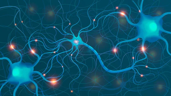 神经科学网络视觉化组合 — 图库矢量图片