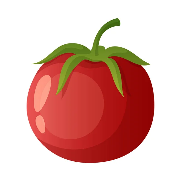 Tomato From Greenhouse Composition — Stock Vector