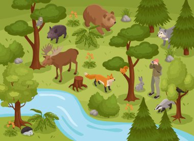 Orman Hayatı Isometric Bileşimi
