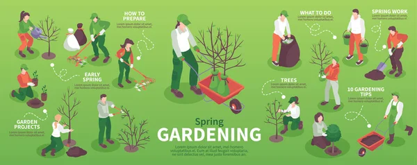 Primavera Jardinería Infografías — Vector de stock