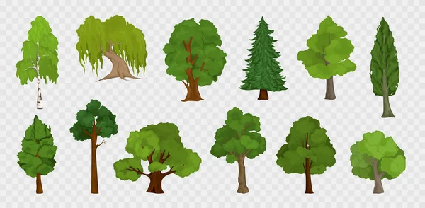 Träd transparenta ikoner samling — Stock vektor