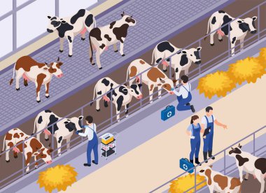 İnek Çiftliği Veteriner Bileşimi