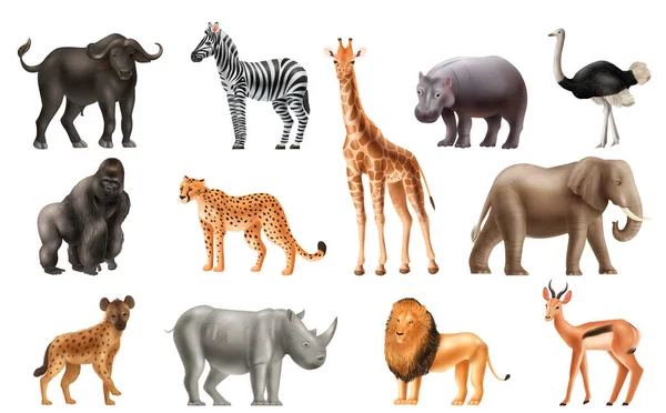 Realistyczne zwierzęta Afryka zestaw — Wektor stockowy