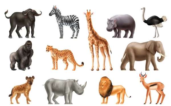 Animaux réalistes Afrique Set — Image vectorielle