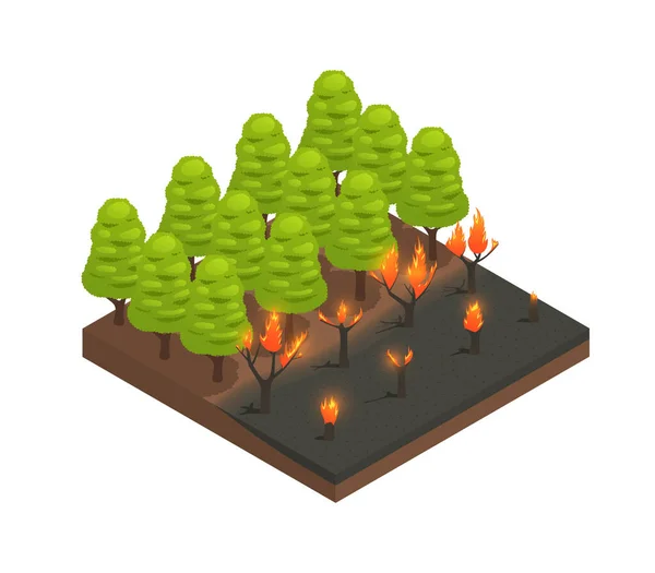 Изометрический состав лесного пожара — стоковый вектор