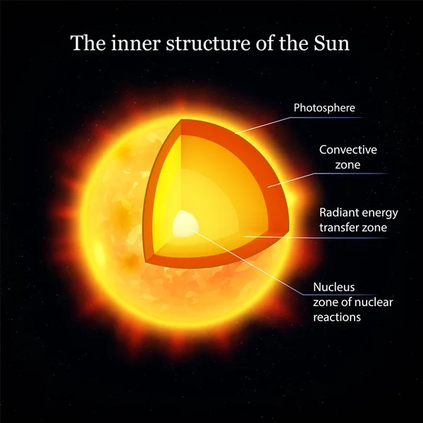 Composizione della struttura interna del sole — Vettoriale Stock