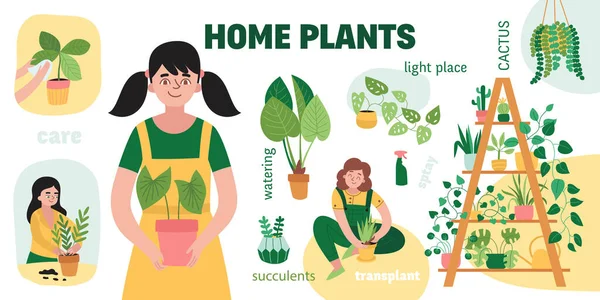 Accueil Plantes Infographie Set — Image vectorielle