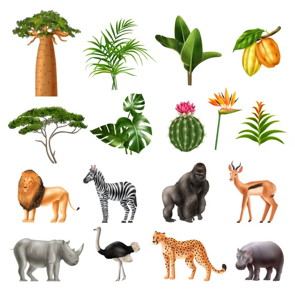 Naturaleza africana Iconos realistas — Vector de stock