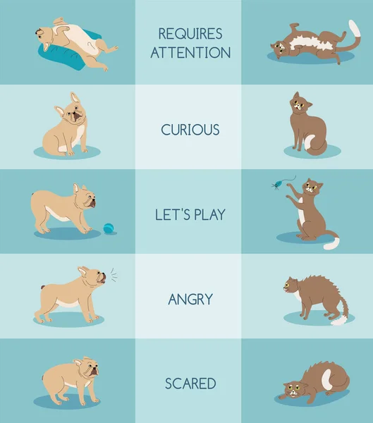 Mascotas Composición del lenguaje corporal — Vector de stock