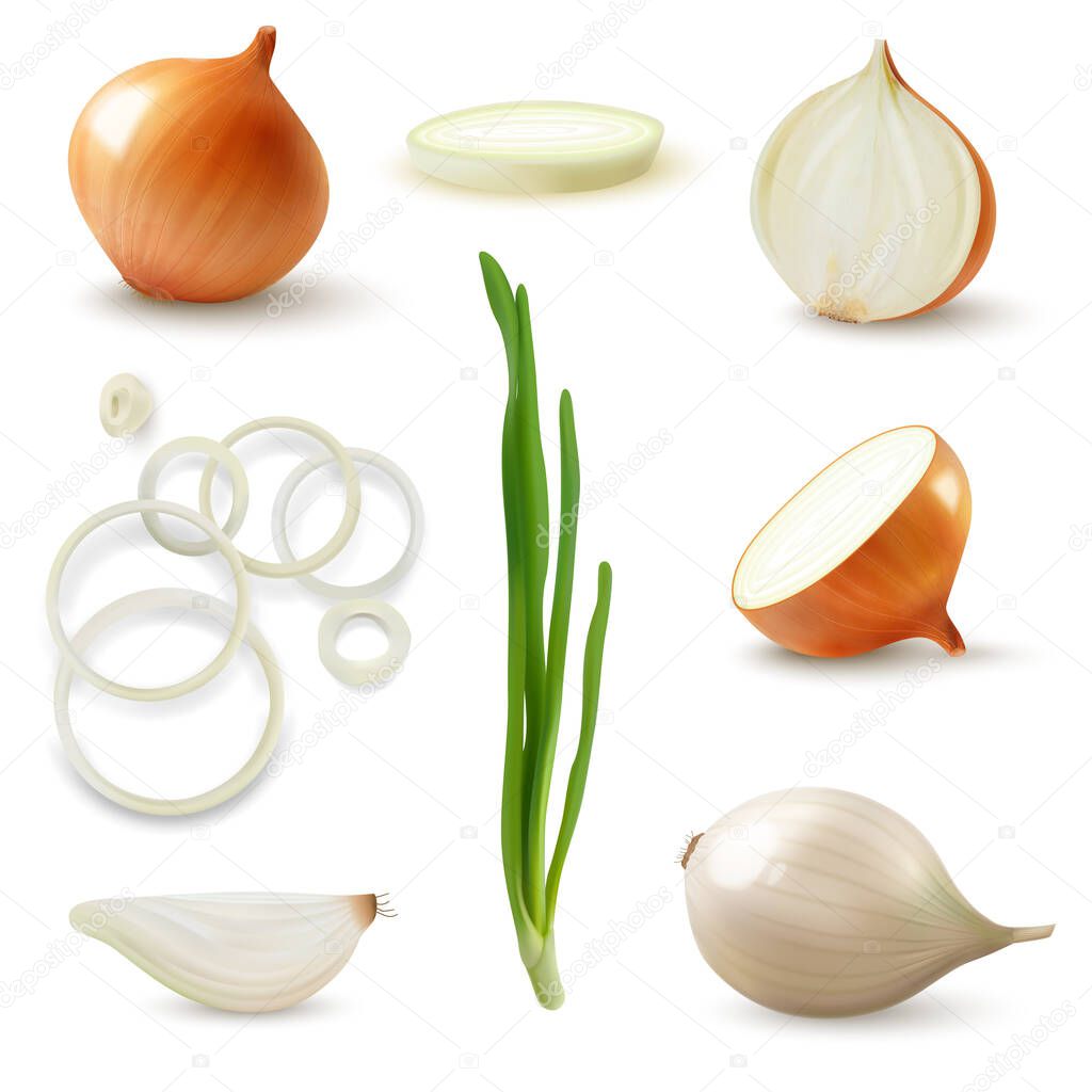 Realistic Onion Set