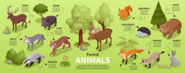 Orman Hayvanları Isometric Infographics
