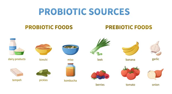 Probiotiques Sources Cartoon Infographies — Image vectorielle