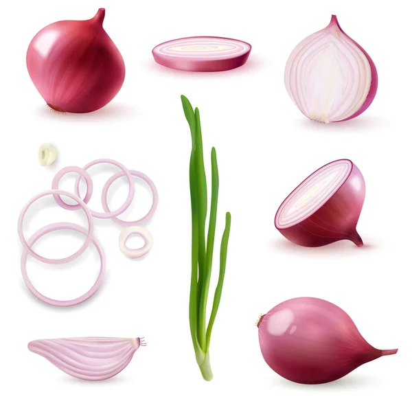 Red Onion Realistik Set - Stok Vektor
