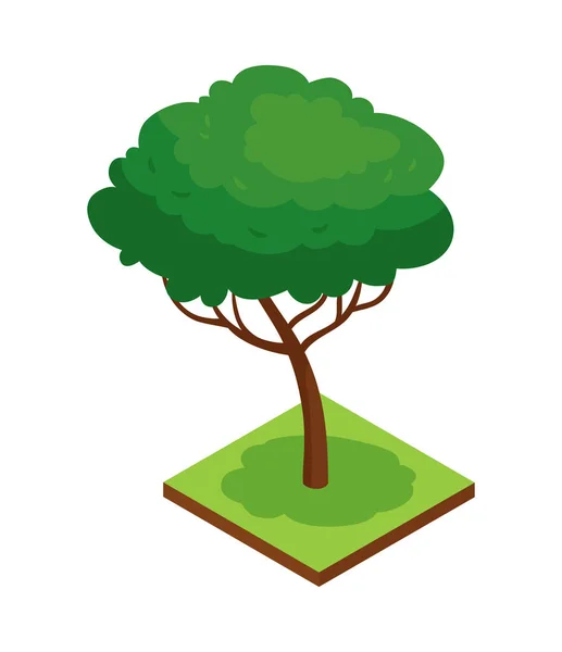 Park Tree Izometrikus összetétel — Stock Vector