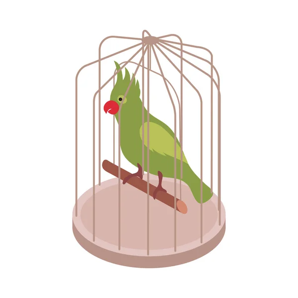 Papuga w klatce Skład — Wektor stockowy
