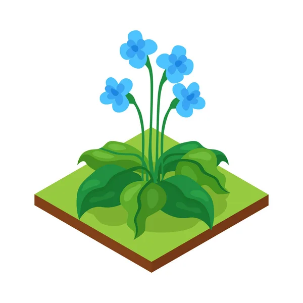 Πάρκο Μπλε λουλούδια Σύνθεση — Διανυσματικό Αρχείο