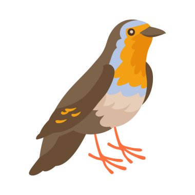 Avrupa Robin Kuş Kompozisyonu