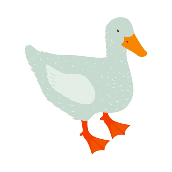 Pato de granja avícola Composición — Vector de stock
