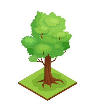 Park Oak Isometric Kompozisyonu