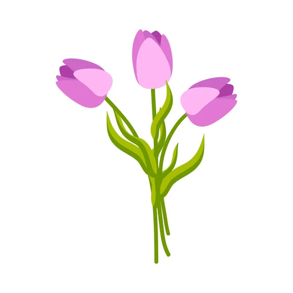 Mazzo di tulipani Composizione — Vettoriale Stock