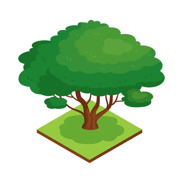 Composición del árbol del parque ancho — Vector de stock