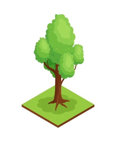 Composition de l'arbre dans le parc — Image vectorielle