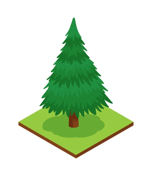 Park Fir Tree Samenstelling — Stockvector