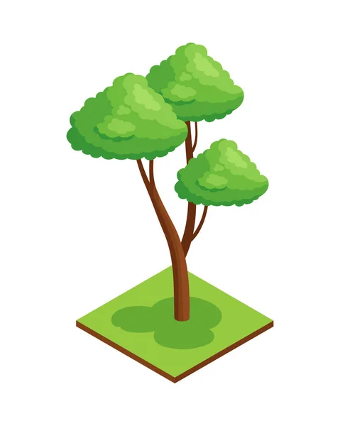 Composición del árbol del Parque Tropical — Vector de stock