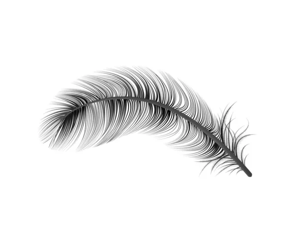 Realistic Black Feather Composition — Stock Vector