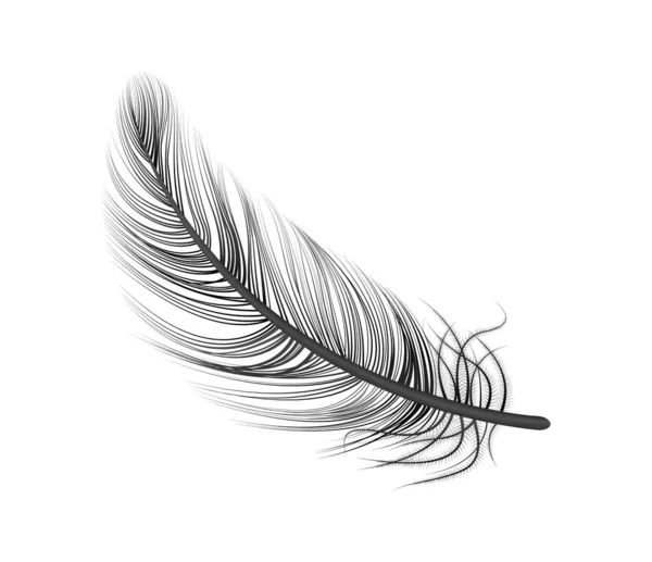 Black Feather Realistic Composition — Stock Vector