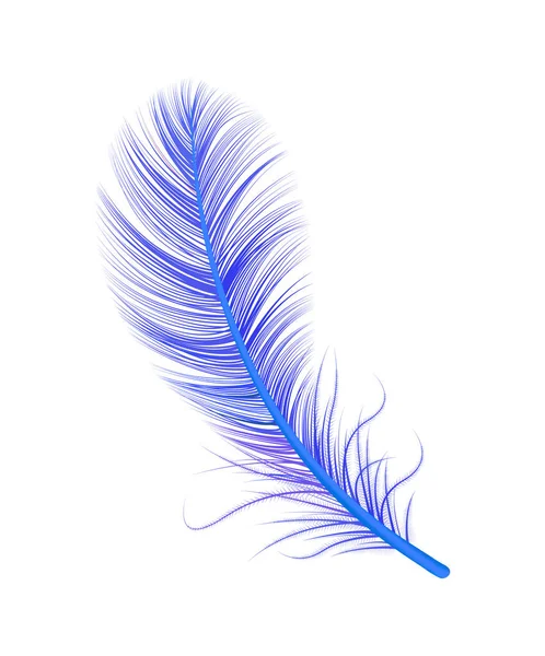 Realistic Blue Feather Composition — Stock Vector